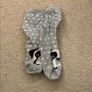 doggie socks!